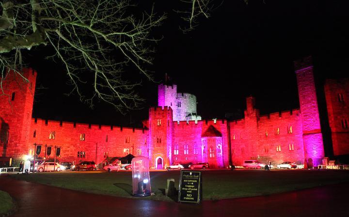 טרפורלי Peckforton Castle חדר תמונה